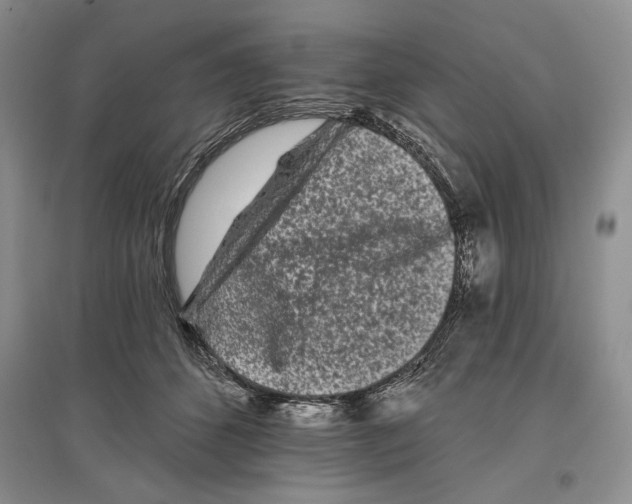 X0000097290512200803141513