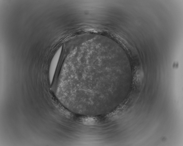 X0000097290513200803141513