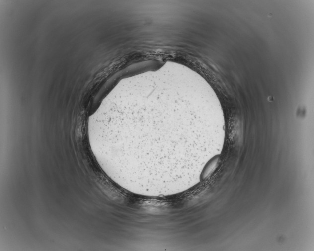 X0000097290515200803141513