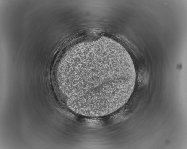 X0000097290516200803141513