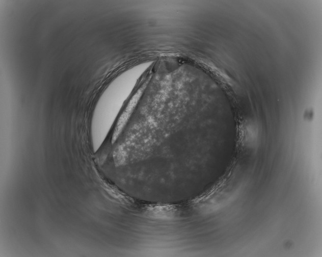 X0000097290517200803141513