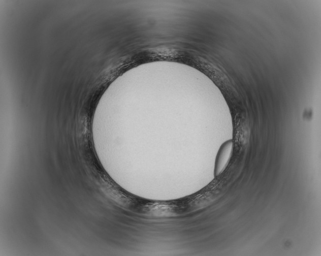 X0000097290518200803141513