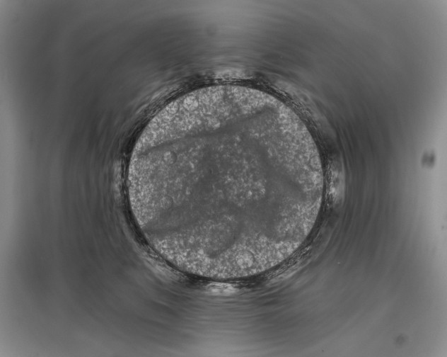 X0000097290519200803141513