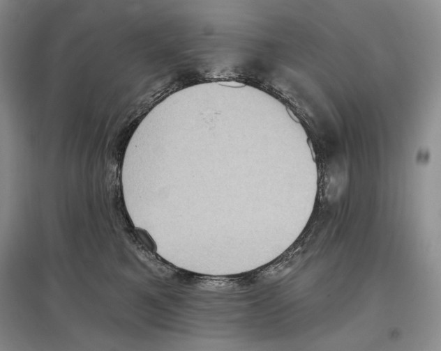 X0000097290521200803141513