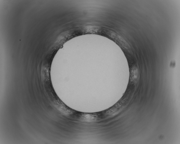 X0000097290522200803141513