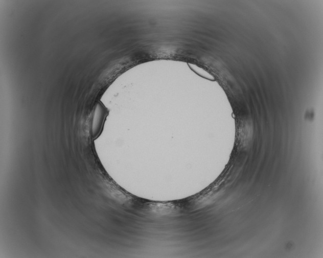 X0000097290525200803141513