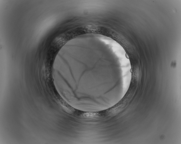 X0000097290526200803141513