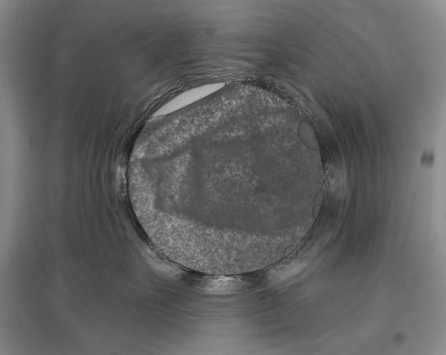 X0000097290527200803141513