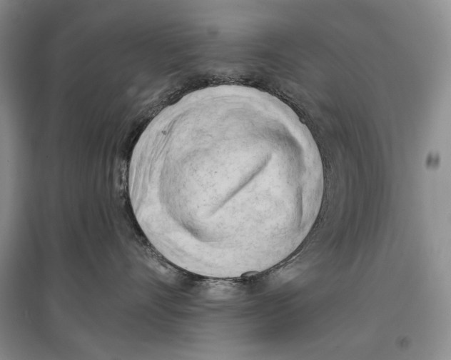 X0000097290528200803141513