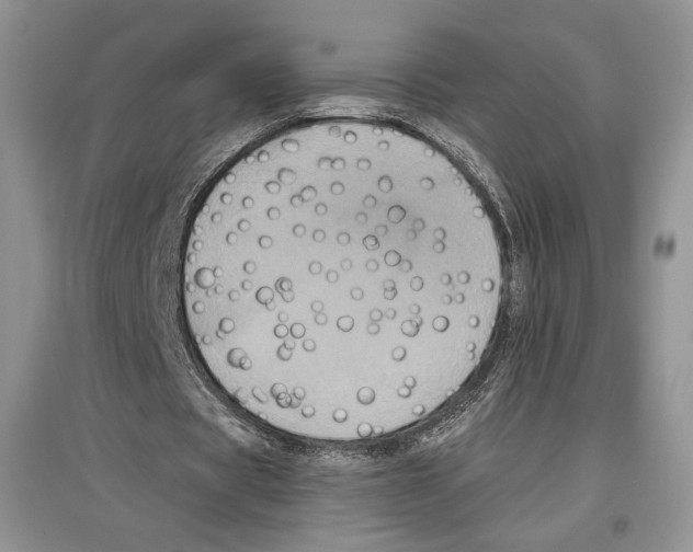 X0000097290529200803141512