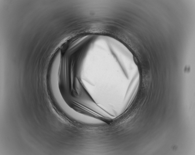 X0000097290530200803141512