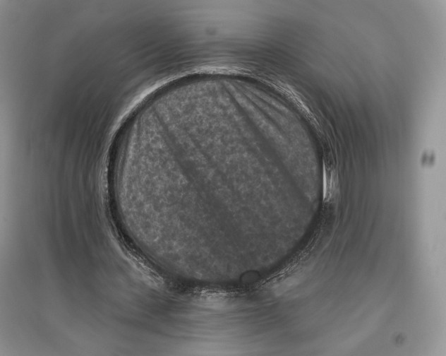 X0000097290531200803141512