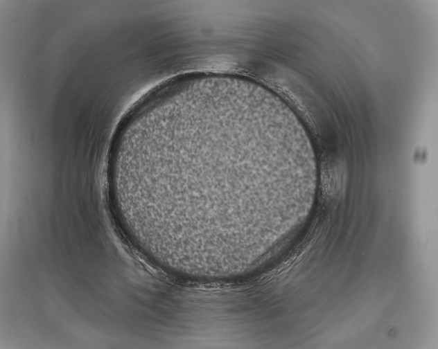 X0000097290532200803141512