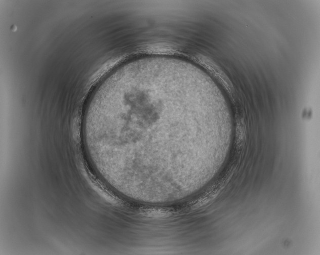 X0000097290533200803141512