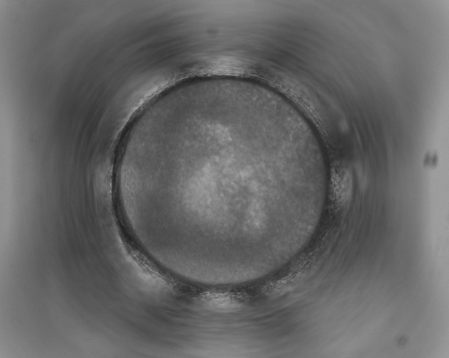 X0000097290534200803141512