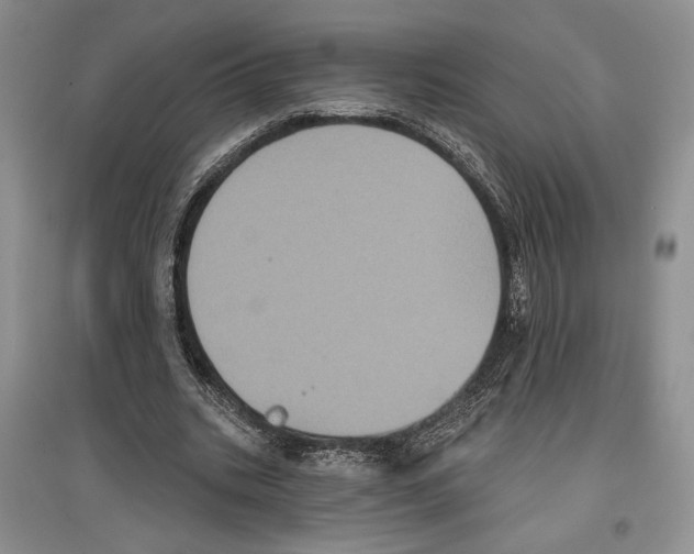 X0000097290535200803141512