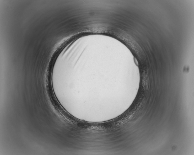 X0000097290536200803141512