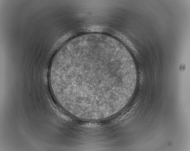 X0000097290537200803141512