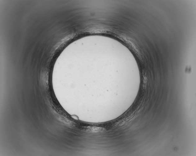 X0000097290539200803141512