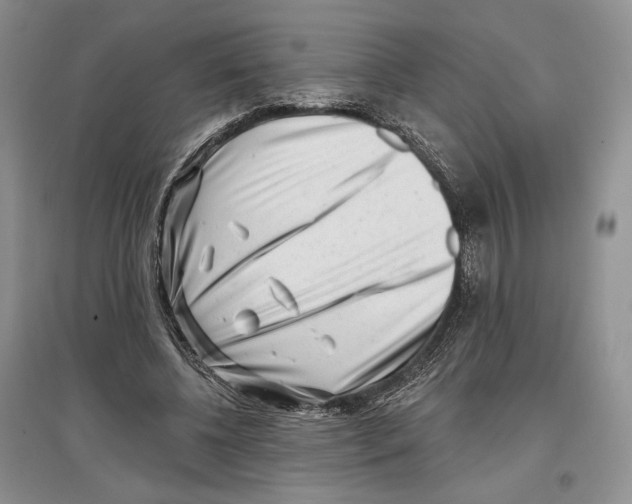 X0000097290540200803141512