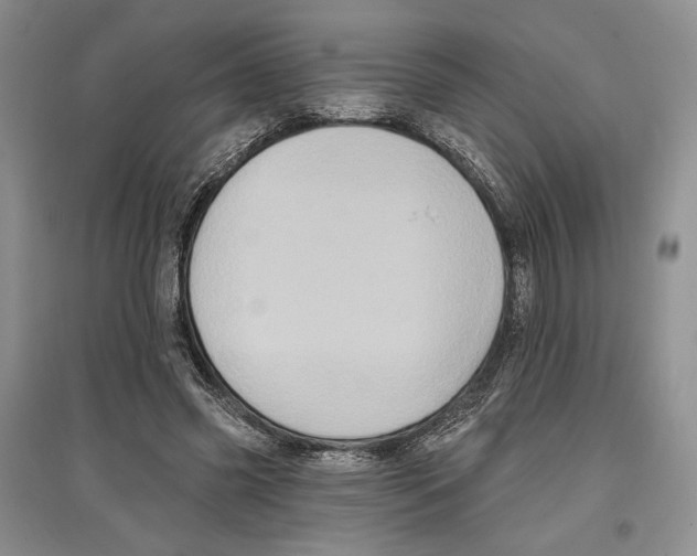 X0000097290541200803141512