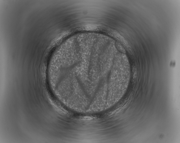 X0000097290542200803141512