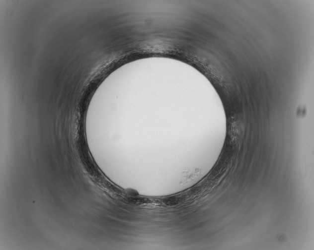 X0000097290544200803141512