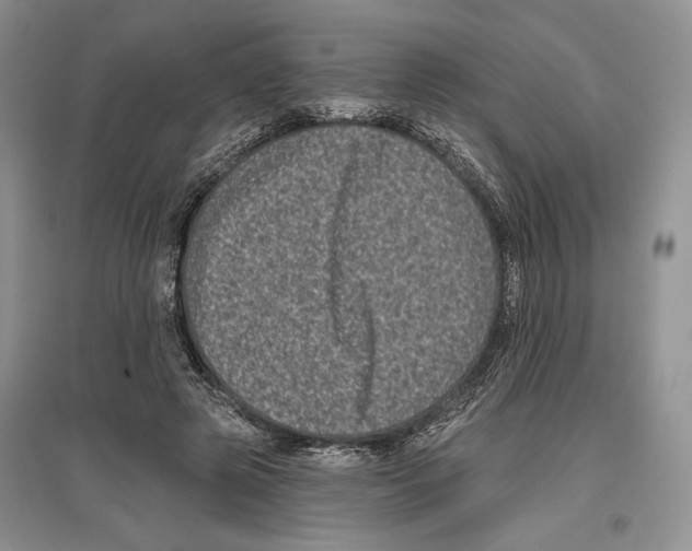 X0000097290545200803141513