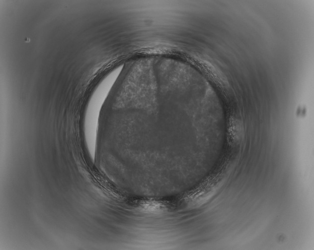 X0000097290547200803141513