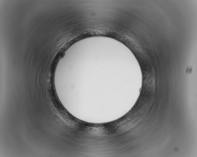 X0000097290548200803141513