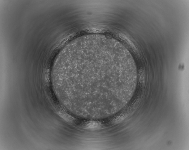 X0000097290549200803141513