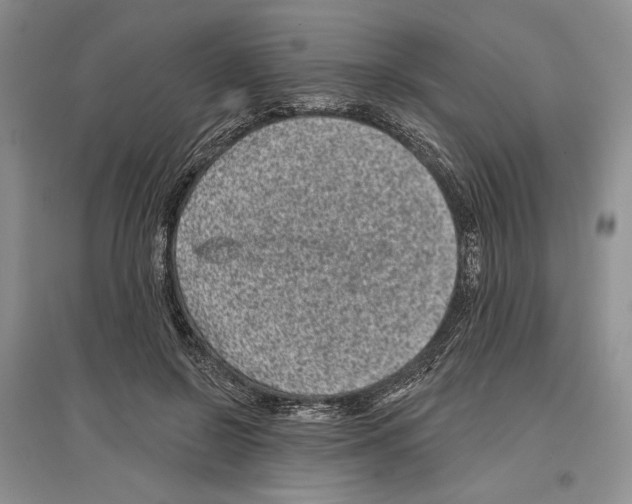 X0000097290550200803141513