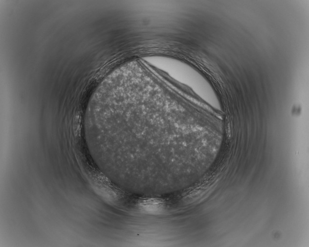 X0000097290551200803141513