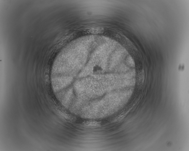 X0000097290553200803141513