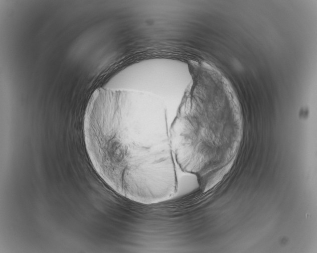 X0000097290557200803141513