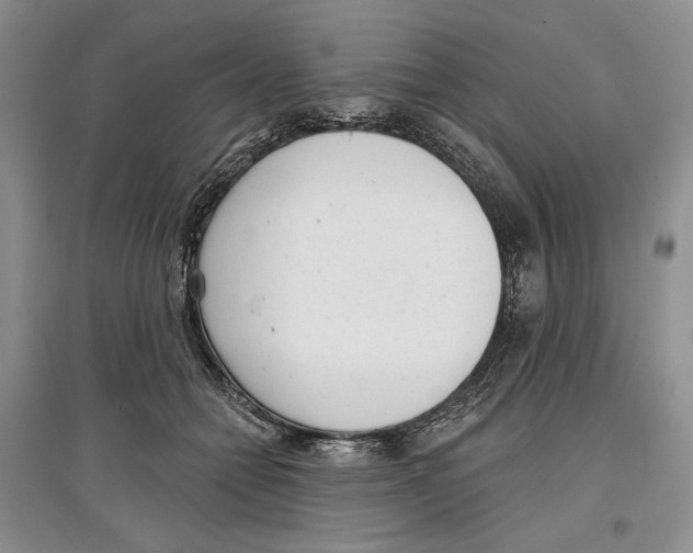 X0000097290558200803141513