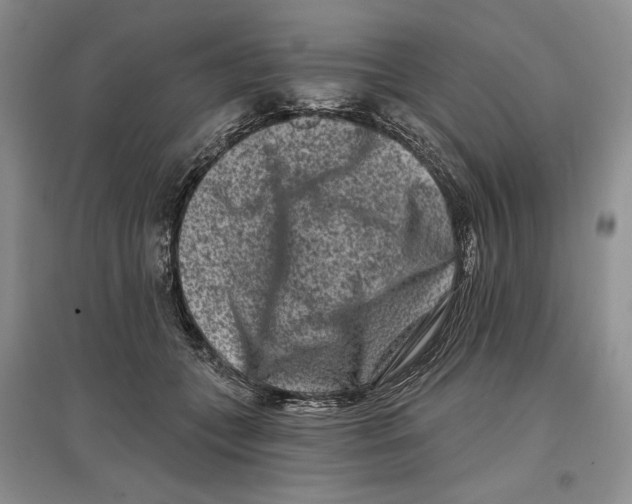 X0000097290559200803141513