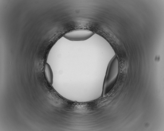 X0000097290560200803141513