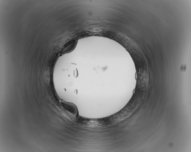 X0000097290562200803141513