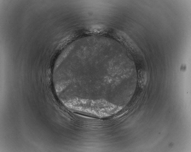 X0000097290563200803141513