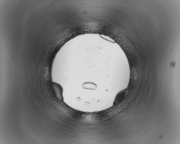 X0000097290564200803141513