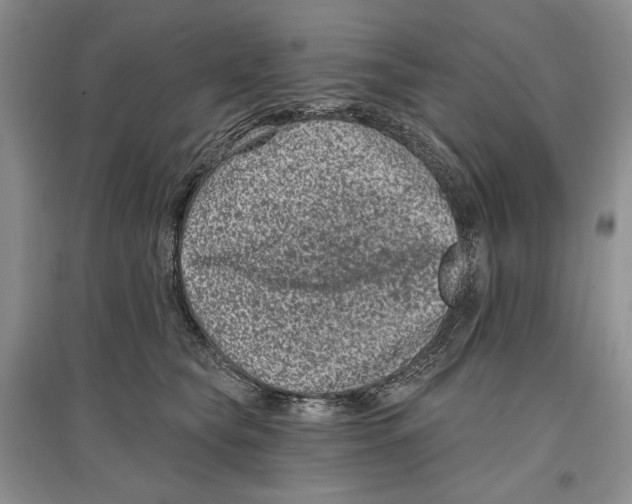 X0000097290565200803141513