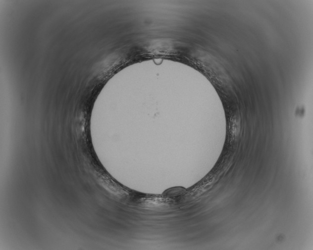 X0000097290567200803141513