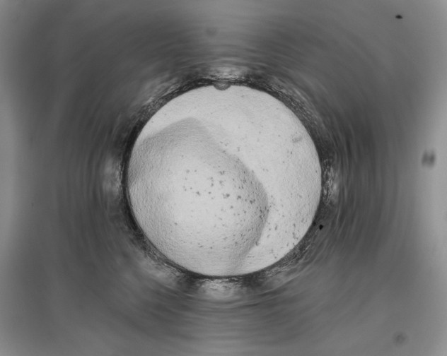 X0000097290568200803141513