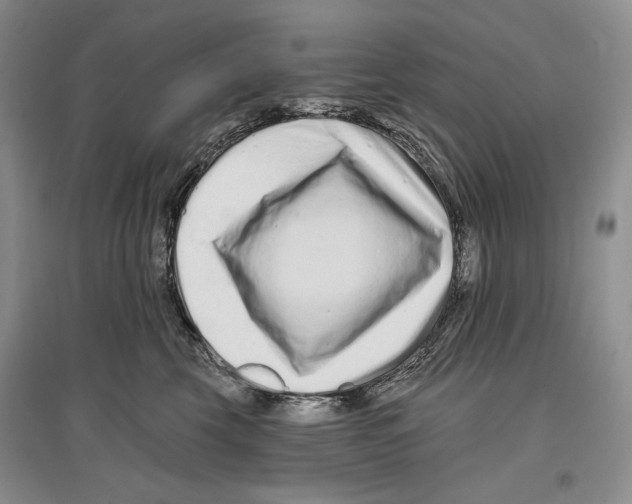 X0000097290569200803141513