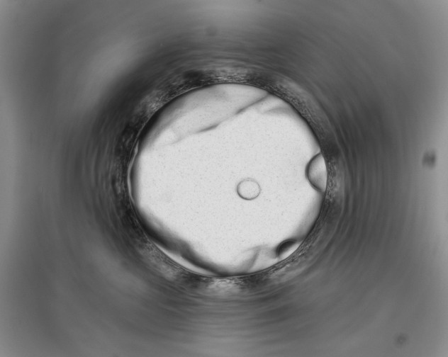 X0000097290573200803141513