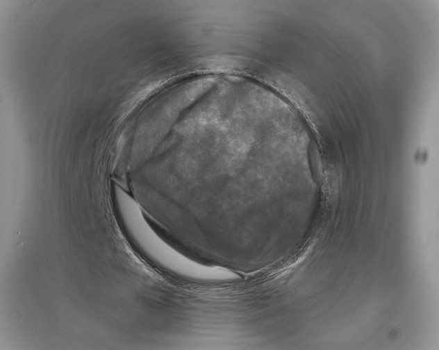 X0000097290577200803141512