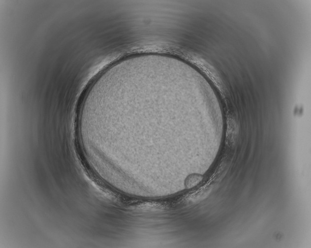 X0000097290578200803141512