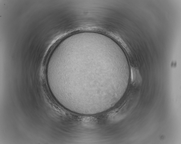 X0000097290579200803141512