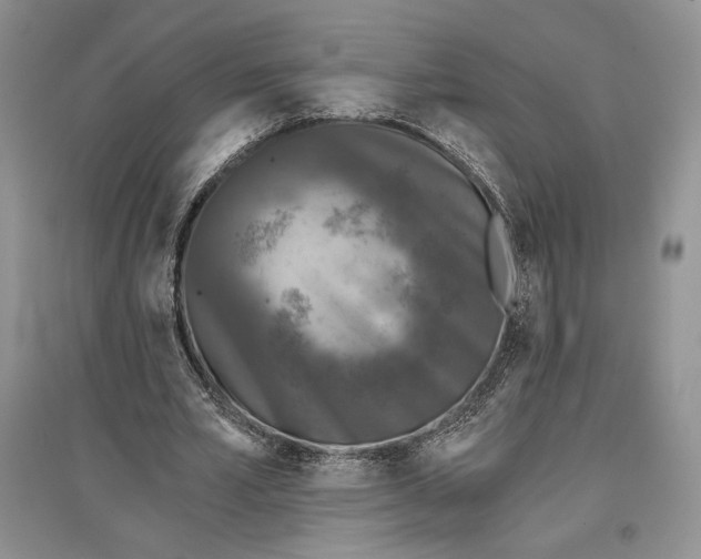 X0000097290581200803141512